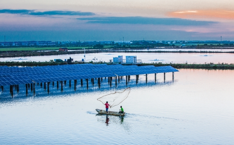 国家能源集团松湖200MW“渔光互补”光伏发电项目，不仅是一座发电站，更是一幅人与自然和谐共生的美丽画卷。（图/夏英英）