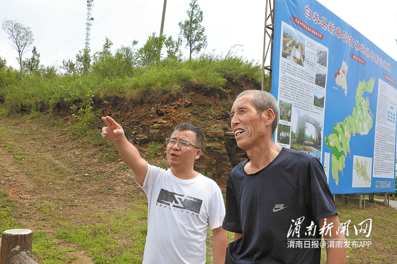 8月8日，林场老职工谢忠启（右一）回到当年植树的山上。记者 李沛华 摄