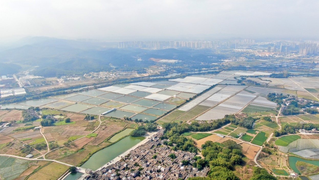 合作社周边依山傍水的优越自然环境