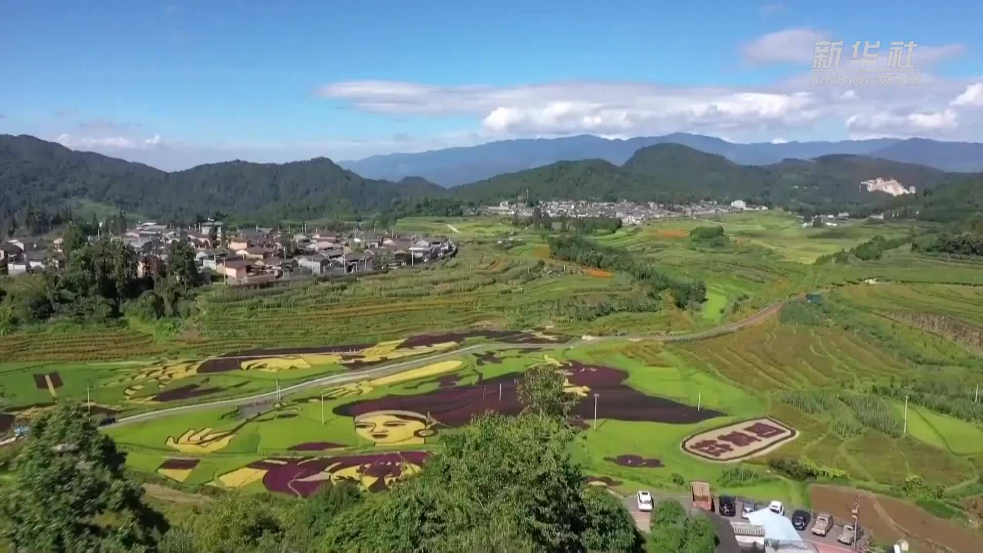 云南腾冲：农文旅融合“幸福的地方”更幸福