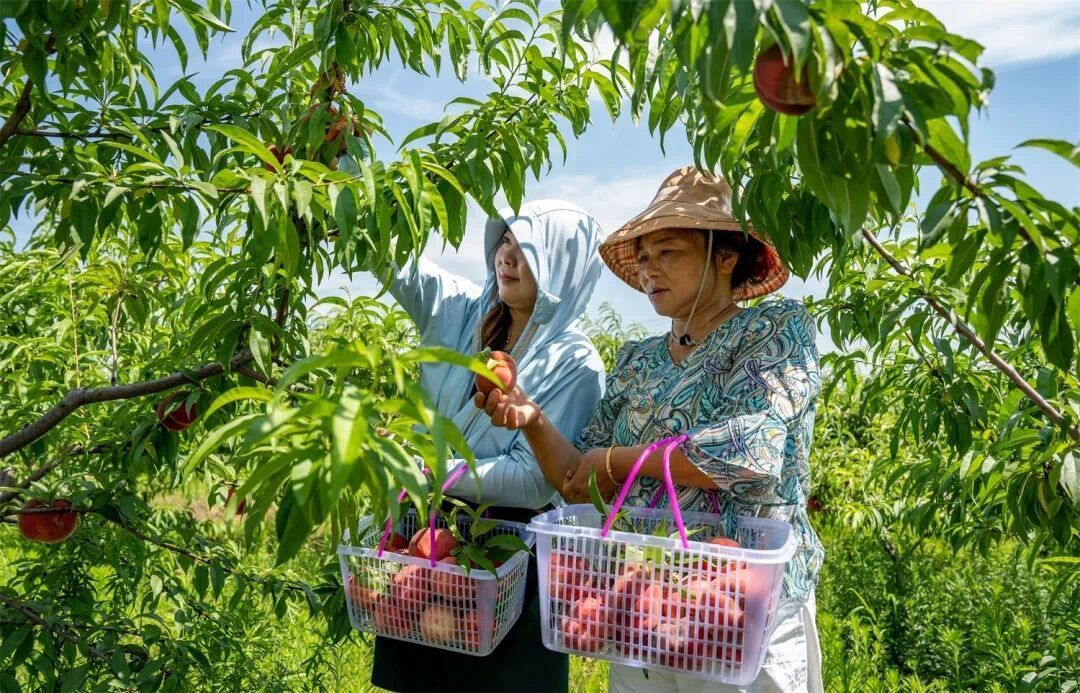 马鞍山市博望区丹阳镇：村美民富产业兴 幸福生活入画来