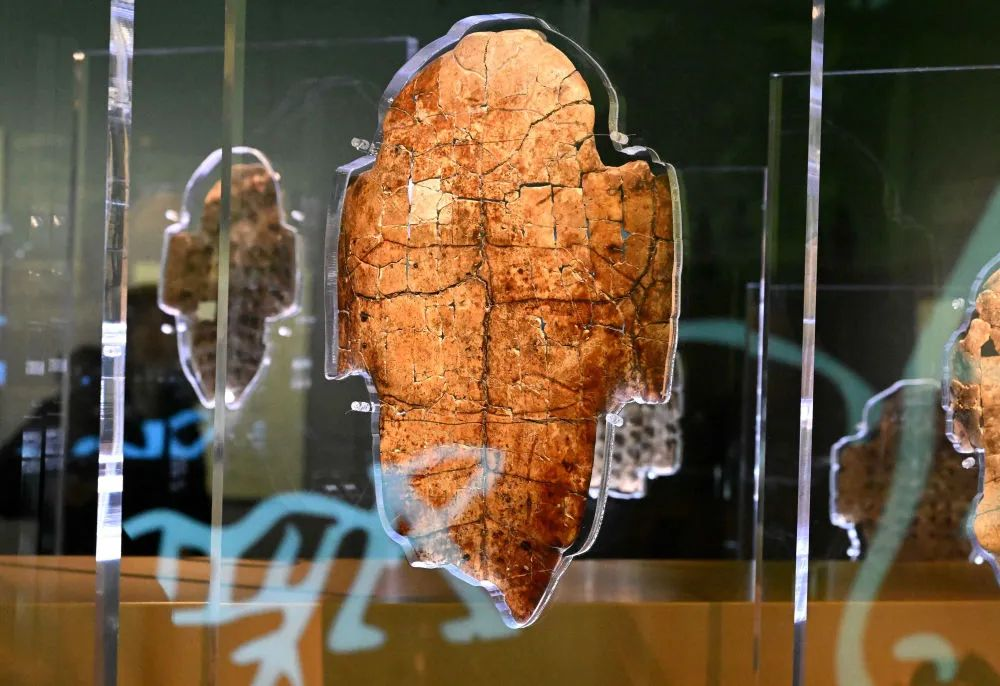 这是河南安阳殷墟博物馆新馆内展出的刻辞卜甲(2024年2月23日摄)。新华社记者 李安 摄