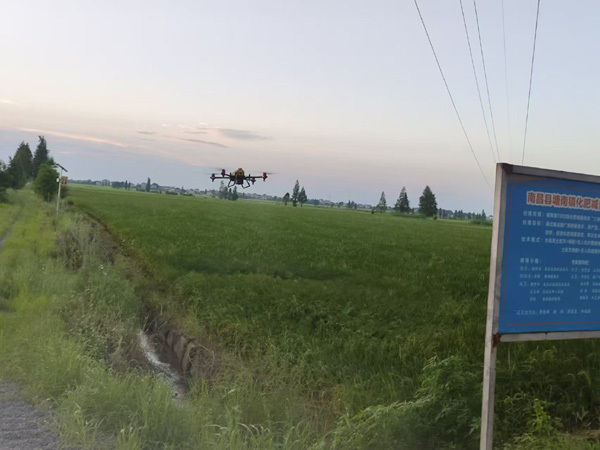 南昌县塘南镇：加强晚稻田间管理 确保秋粮丰产丰收