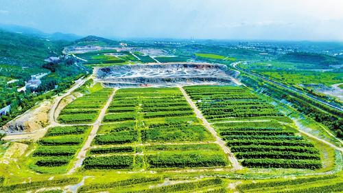 8月14日，在邯郸市峰峰矿区航拍的邯郸金隅太行水泥有限责任公司石灰石矿，从高空俯瞰，“小苗圃”把矿山装扮得绿意盎然。本报记者 李东宇摄