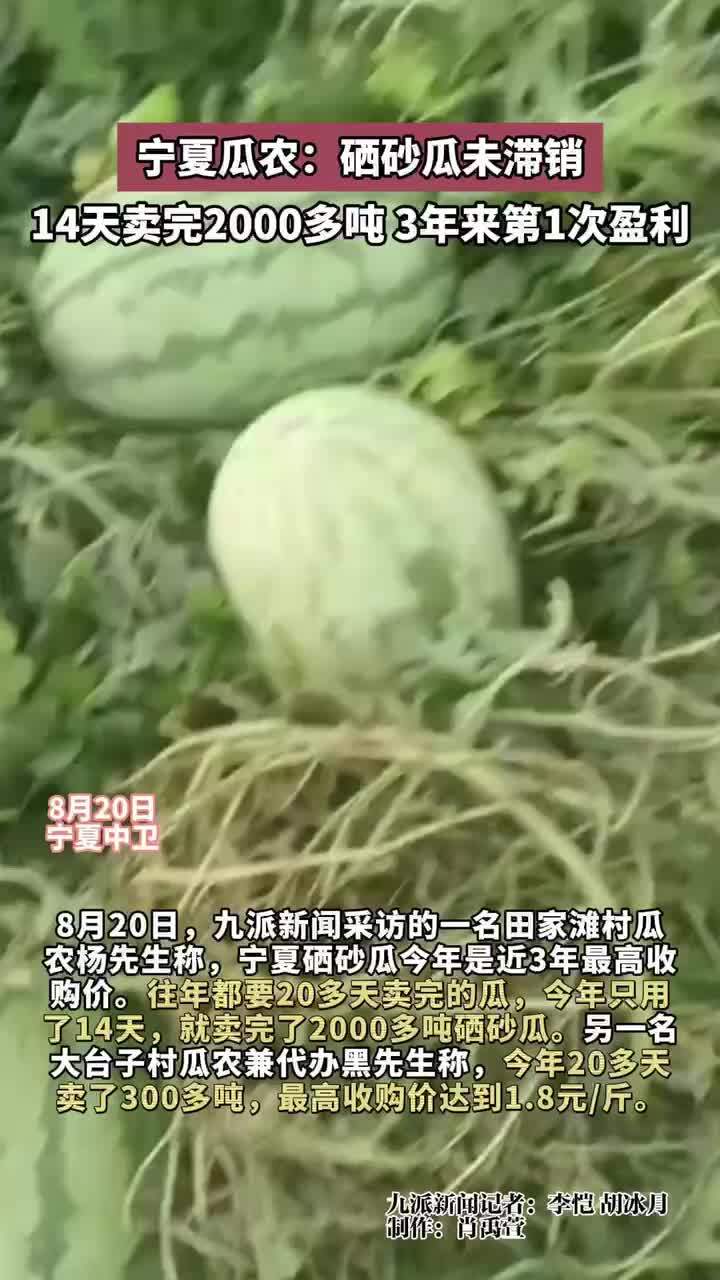 宁夏瓜农：硒砂瓜未滞销，14天卖完2000多吨，3年来第1次盈利