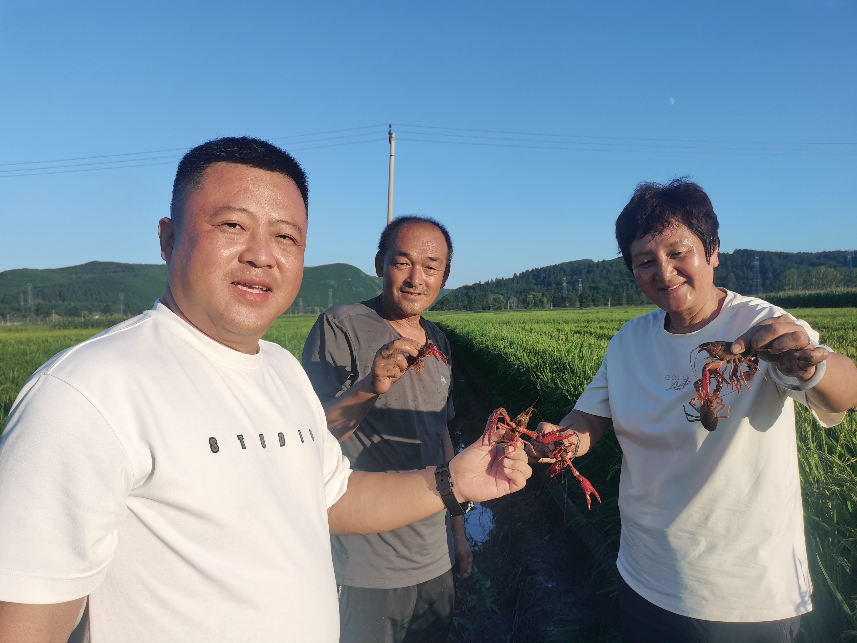 小龙虾带来大收益
