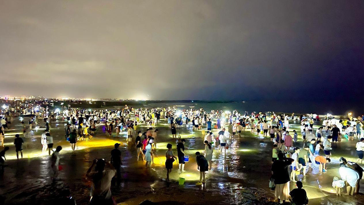 8月19日，日照海边再现万人搜寻面条鱼的名场面。焦若航 摄