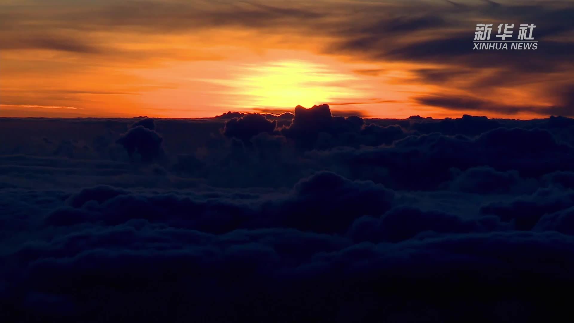 微视频｜数说临港新片区这五年