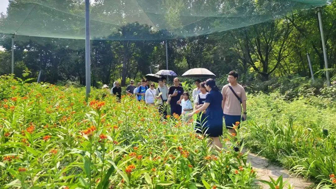 新生与家长在蝴蝶园参观