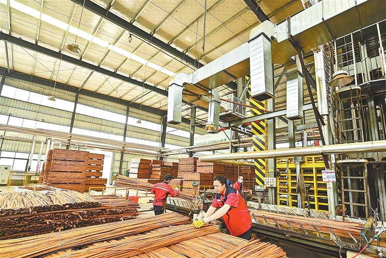 资溪县：科技赋能 推动竹产业高质量发展（图）