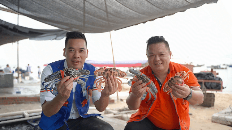 开海第一网献盛宴 椰林开海季818海鲜节诚意满满