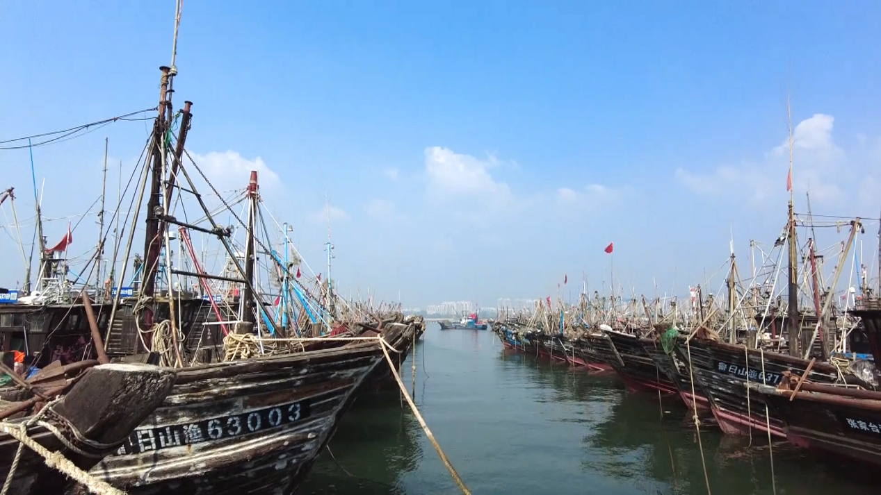 8月27日，山海天一级渔港，渔船整齐排列，停靠在码头。裴航 摄