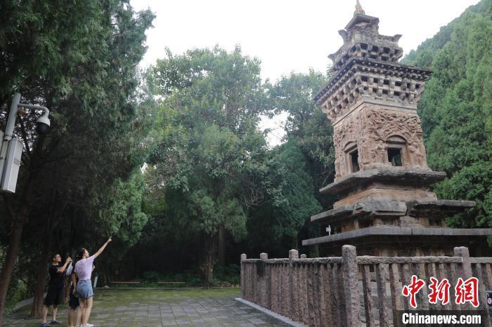 8月24日,山东济南,游客在《黑神话:悟空》取景地四门塔风景区游玩打卡。近日,《黑神话:悟空》游戏爆火,带火多个取景地,济南四门塔是其中之一。该景区因猫猫众多,被网友戏称为“猫猫寺”。 中新社记者 王采怡 摄