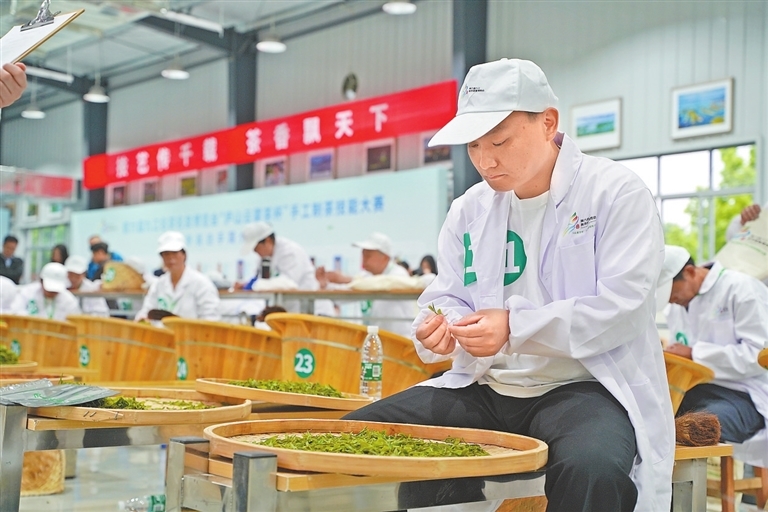 选手在庐山云雾茶手工制茶技能大赛中比拼制茶技艺。通讯员 李美琳摄