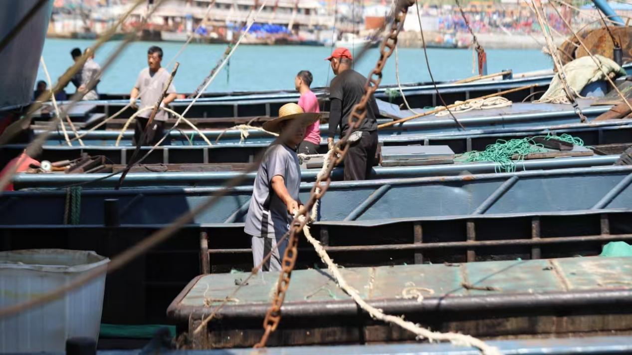 8月28日，日照市岚山区，渔民们正在各自渔船上检查装备。岚山区融媒体中心供图