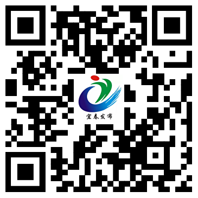 （识别二维码查看）