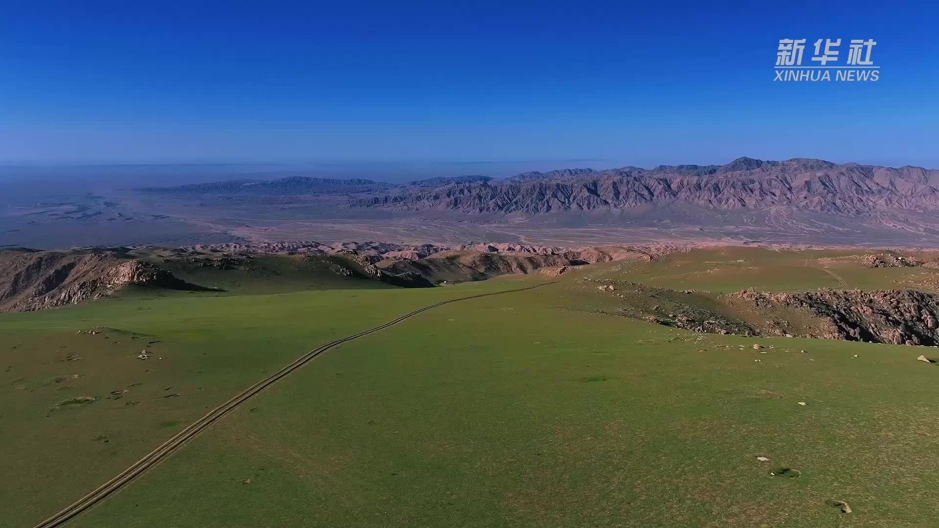 千城胜景｜阿拉善右旗：高山草原觅清凉