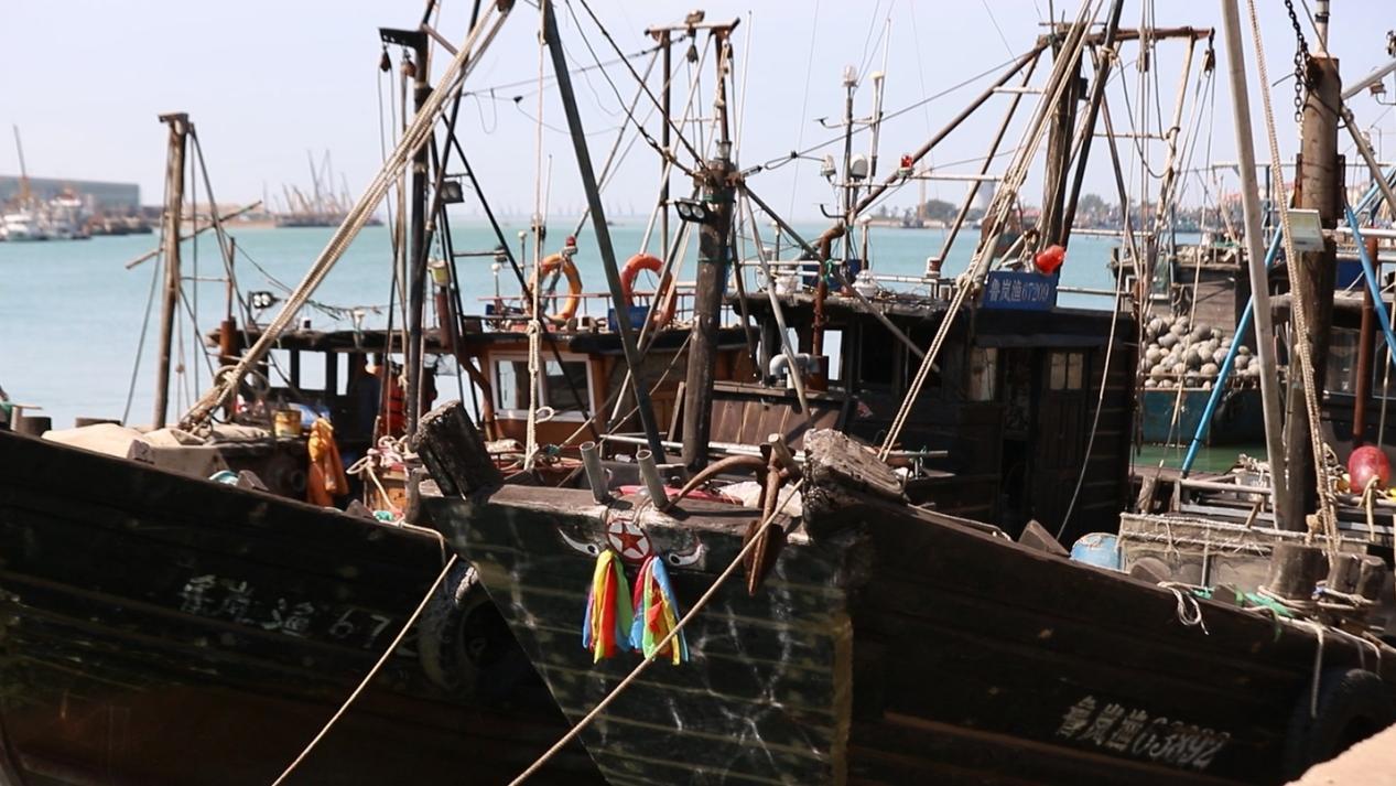 8月28日，日照市岚山区，码头上的渔船整齐排列，蓄势待发。岚山区融媒体中心供图