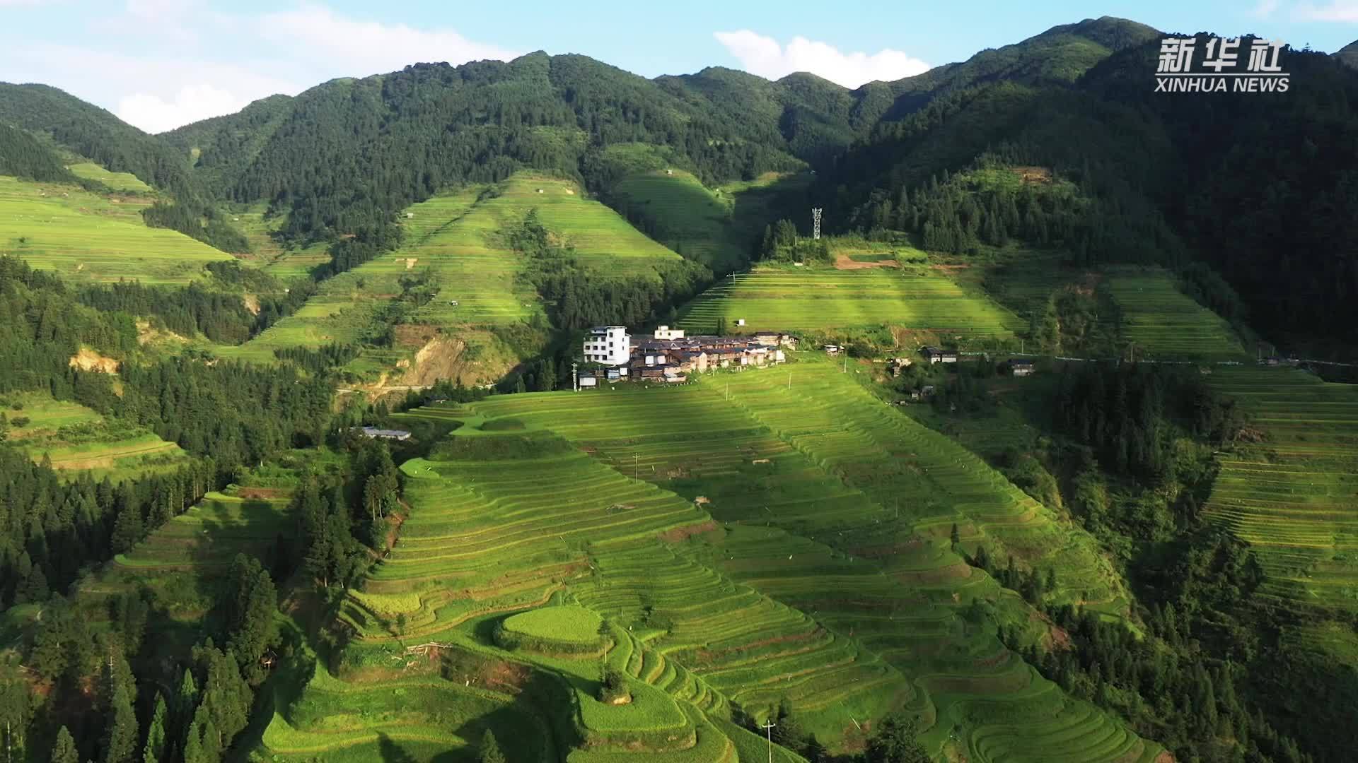 贵州从江：秋日别通梯田 宛如大地指纹