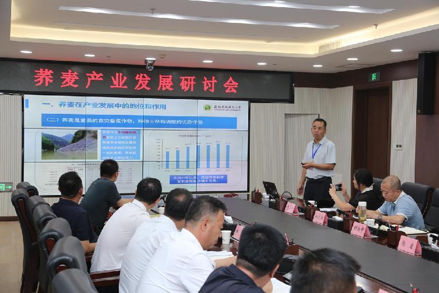 西北农林科技大学教授 冯佰利