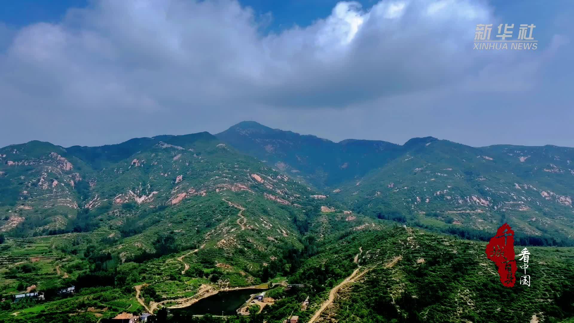 千城百县看中国｜河北灵寿：雨季造林忙 太行添新绿