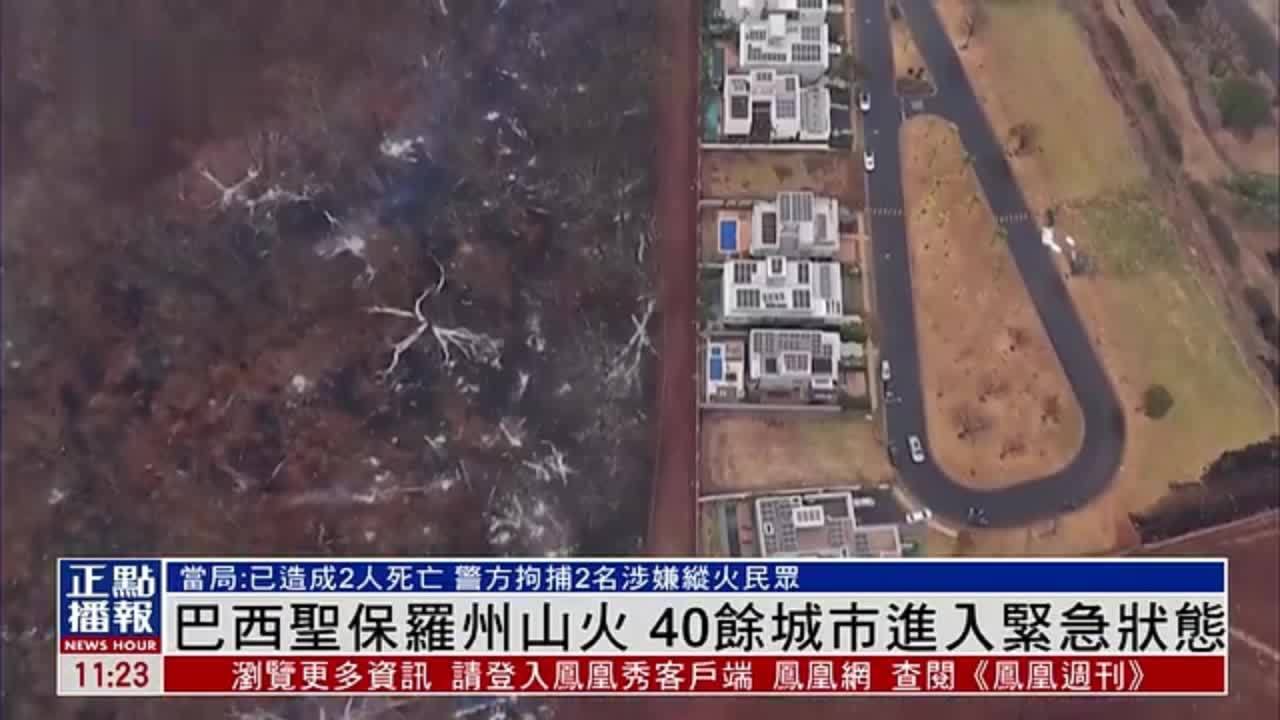 巴西圣保罗州山火 40余城市进入紧急状态