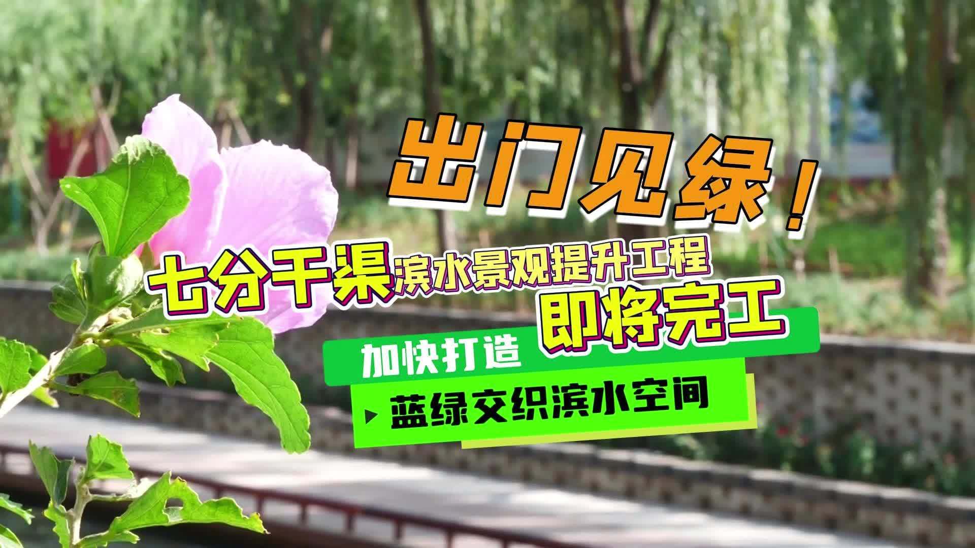 出门见绿！七分干渠滨水景观提升工程即将完工~