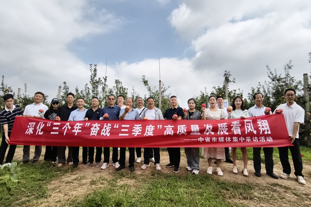 高质量发展看凤翔丨京丰果业种植农场