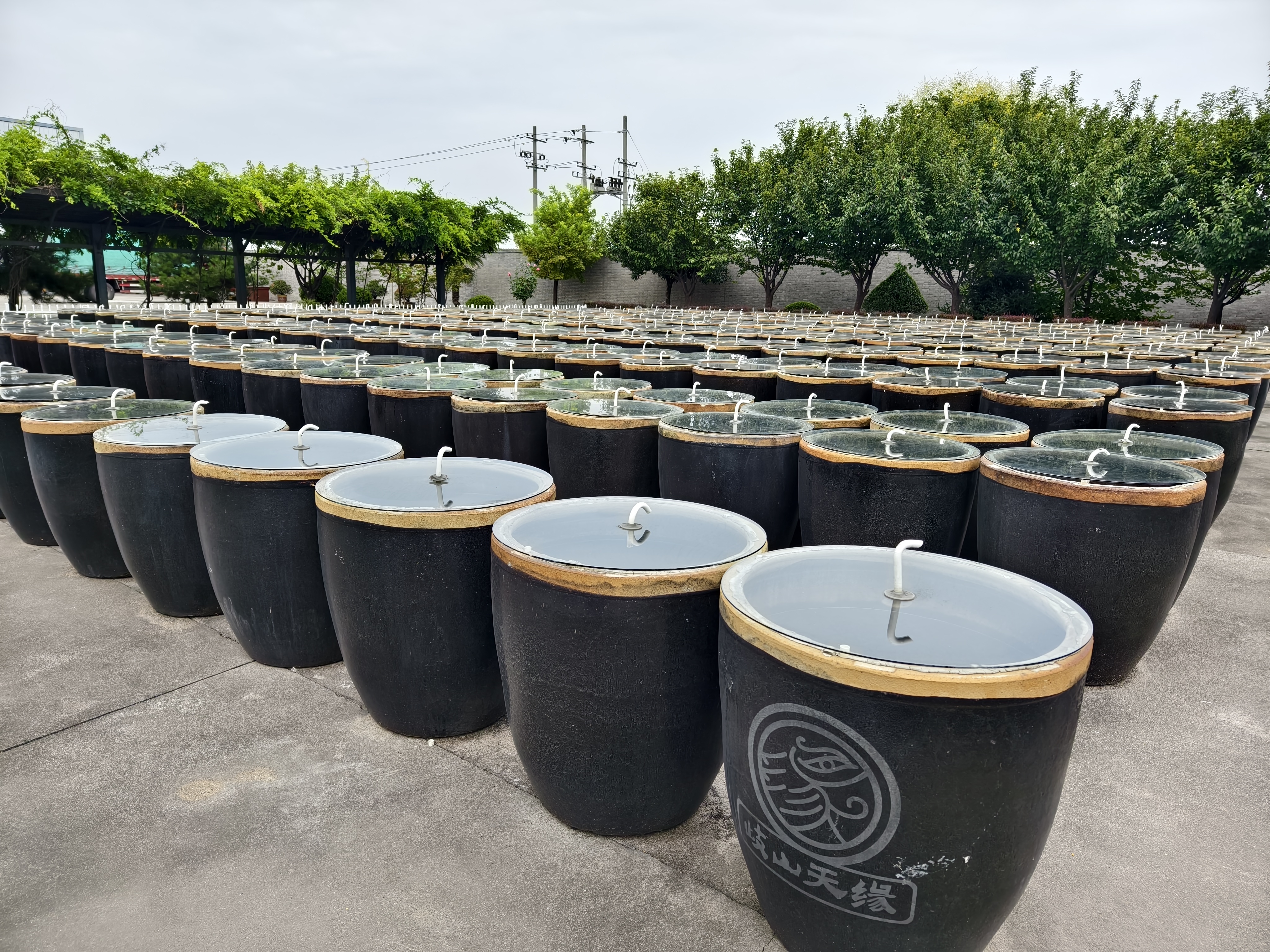 品周秦文化 瞰魅力宝鸡｜古醋飘香 “小醋坛”推动“大产业”