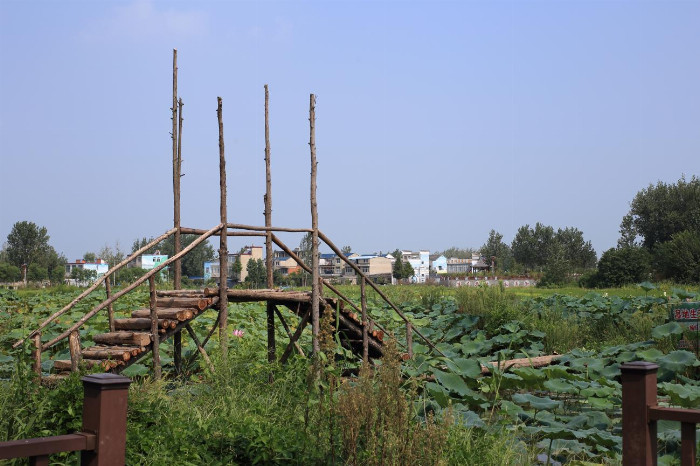 （图为三汊河湿地公园的秀美风景 李祥尔摄）