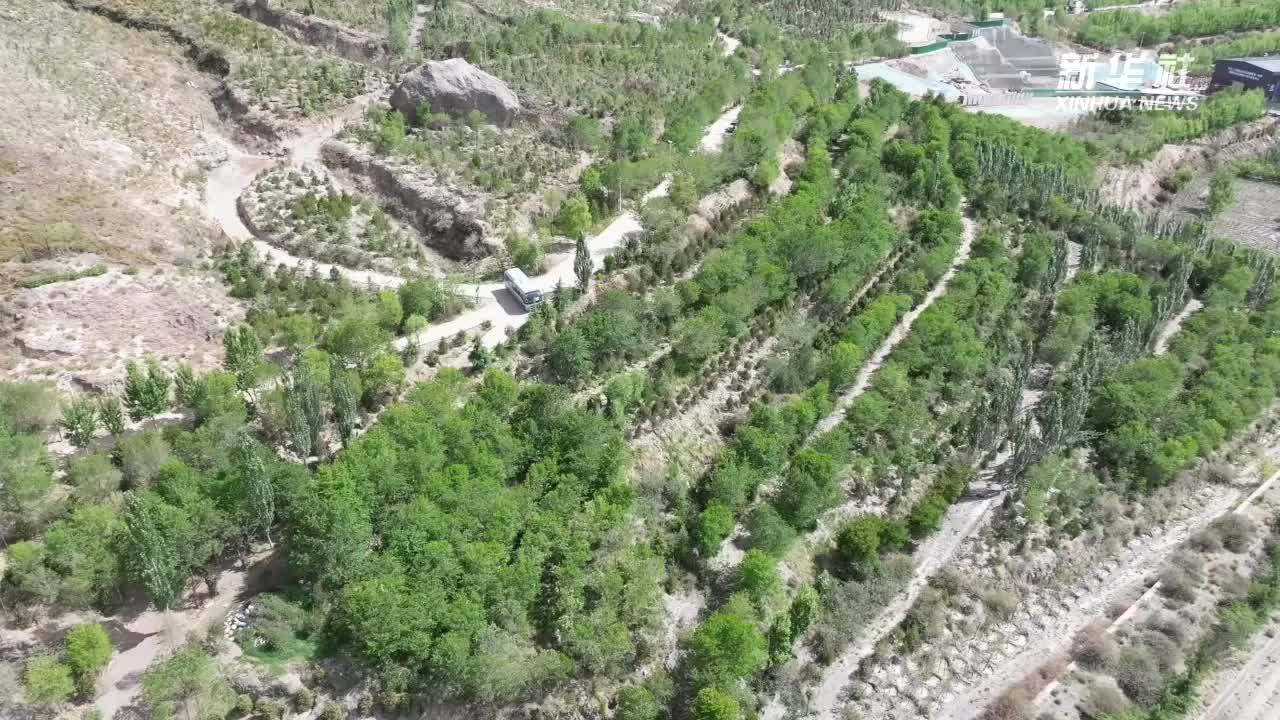 情满雪域高原：海拔3600米甚至更高的地方，能种树吗？