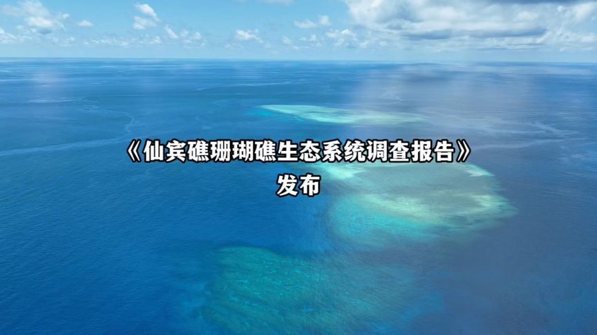 《仙宾礁珊瑚礁生态系统调查报告》发布