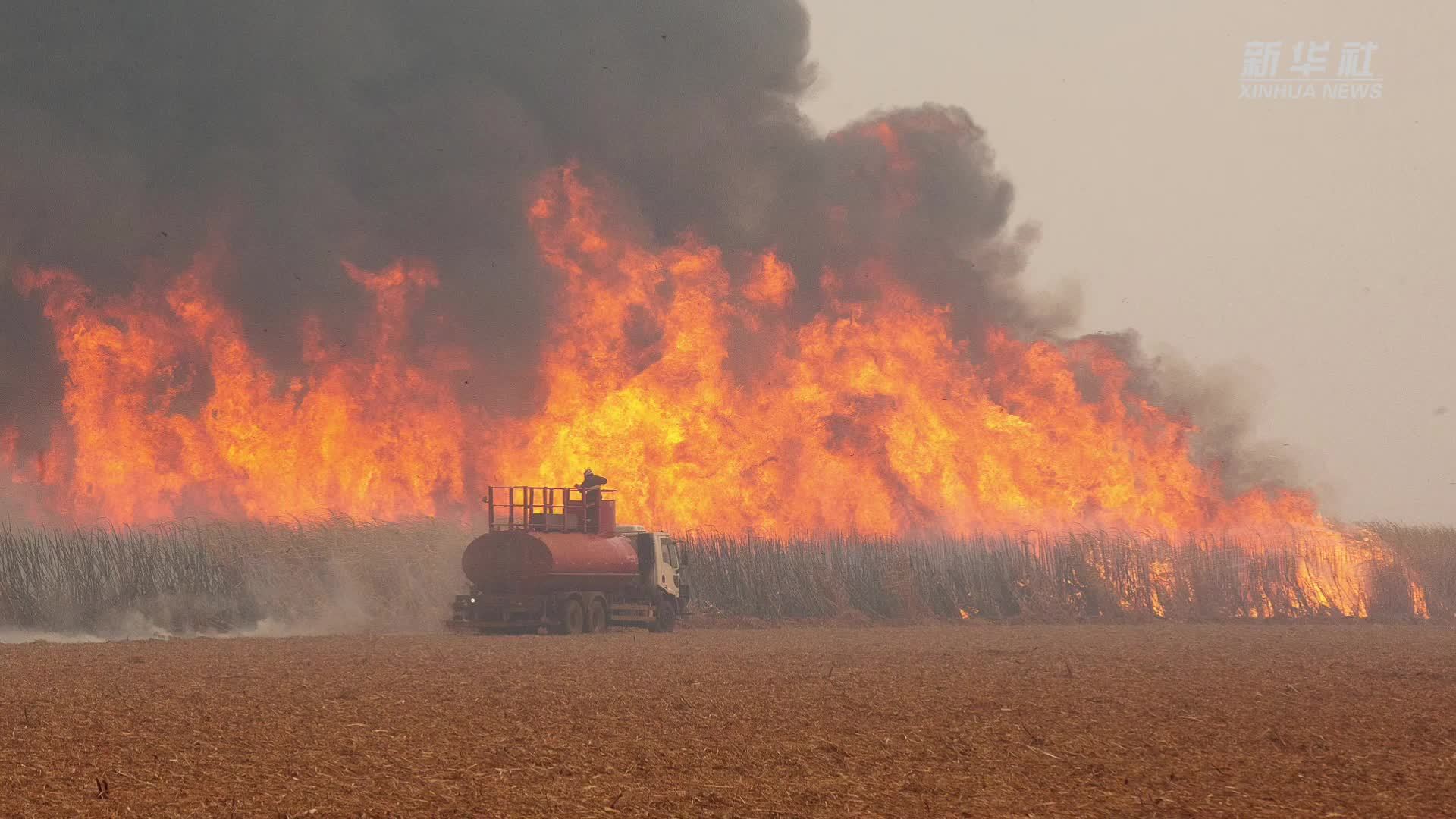 巴西圣保罗州林火得到控制火灾造成农业损失超10亿雷亚尔
