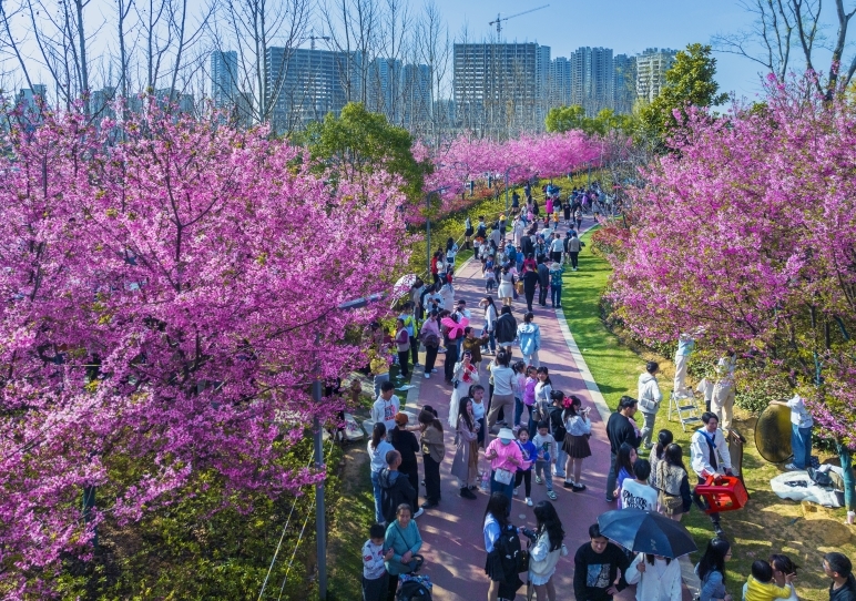 赣州蓉江新区探索“公园+生态价值转换”新路径