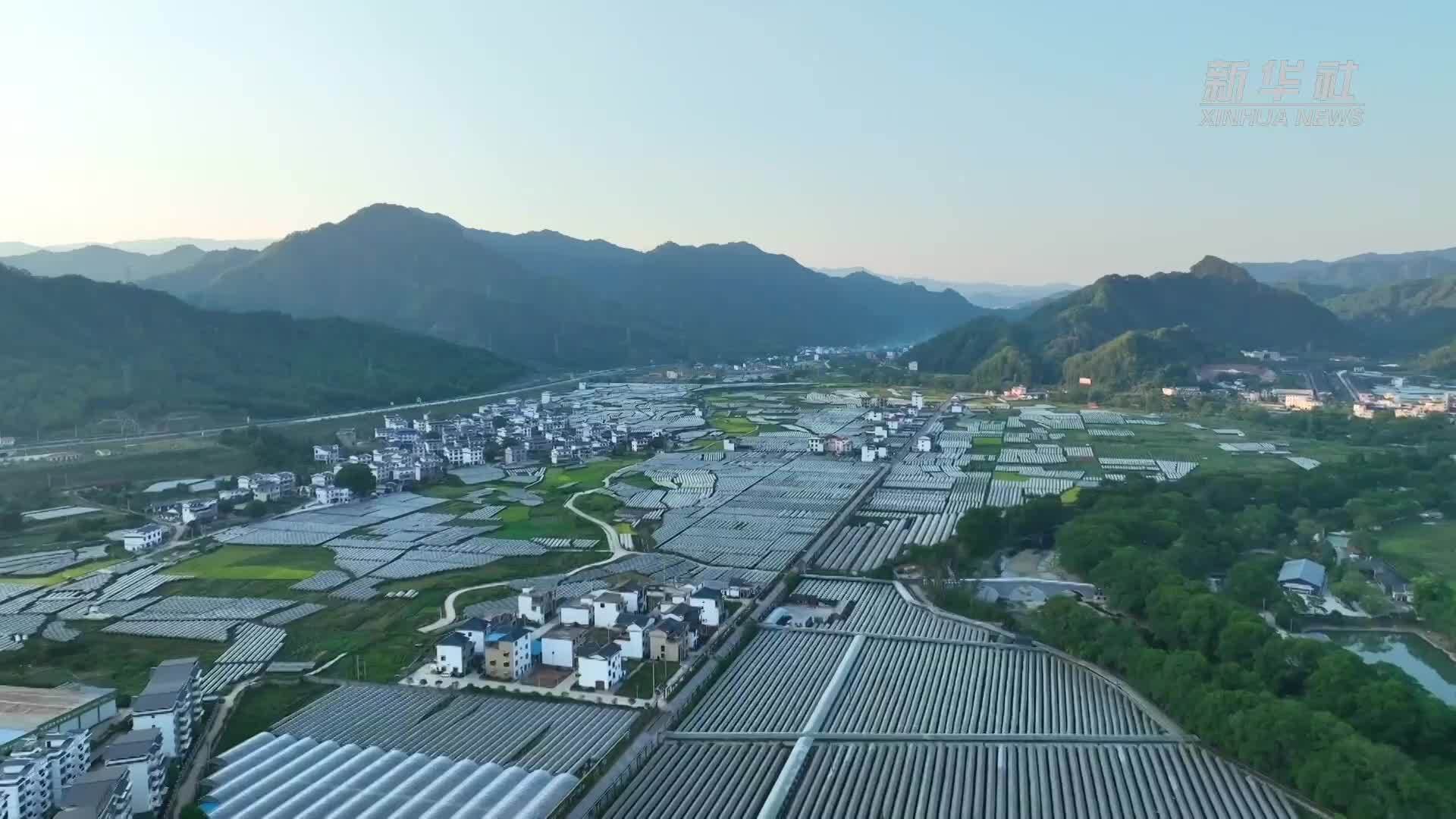 泰国留学生的中国美丽乡村之旅