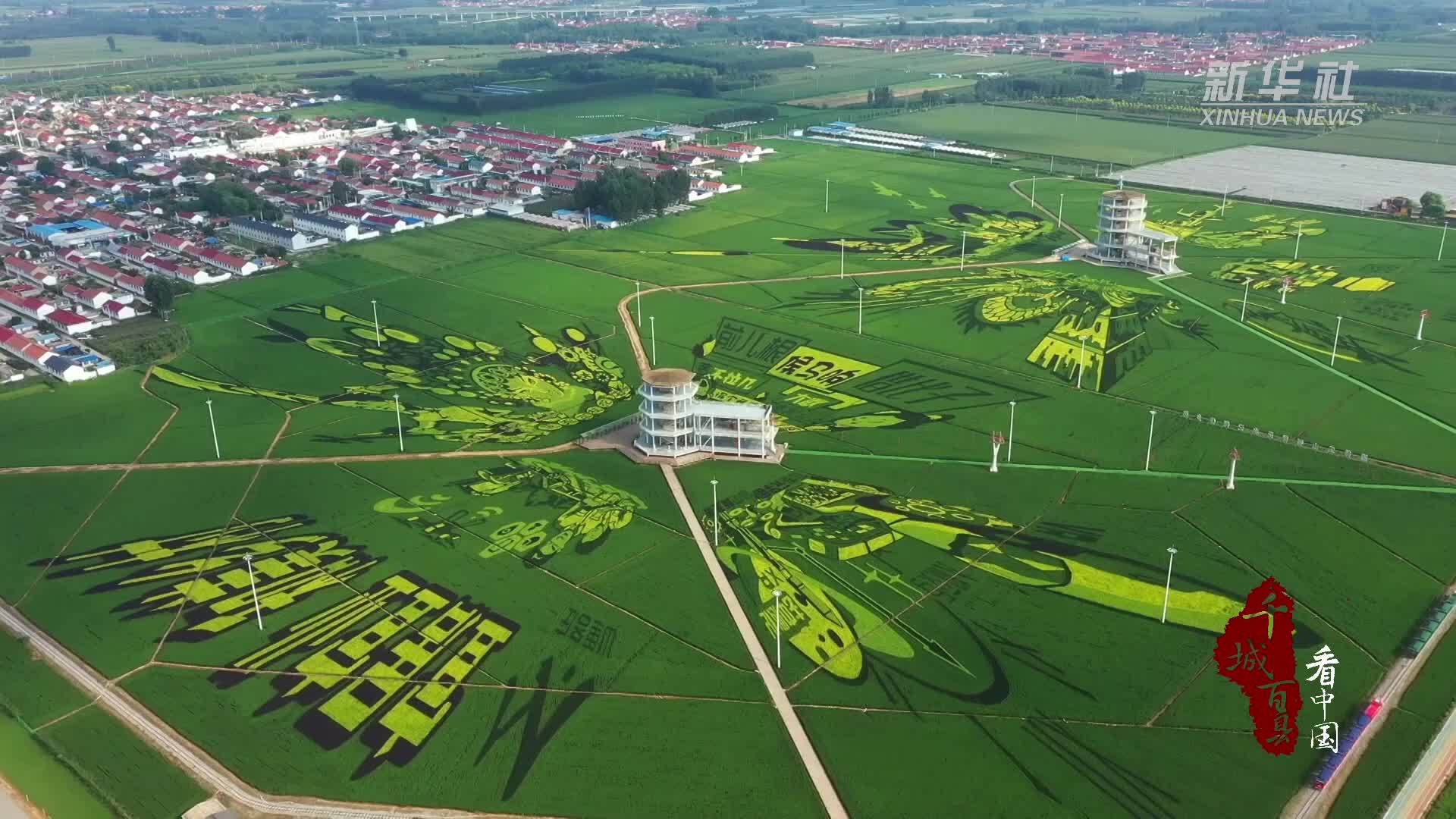 千城百县看中国｜河北遵化：“彩色稻田画”扮靓美丽乡村