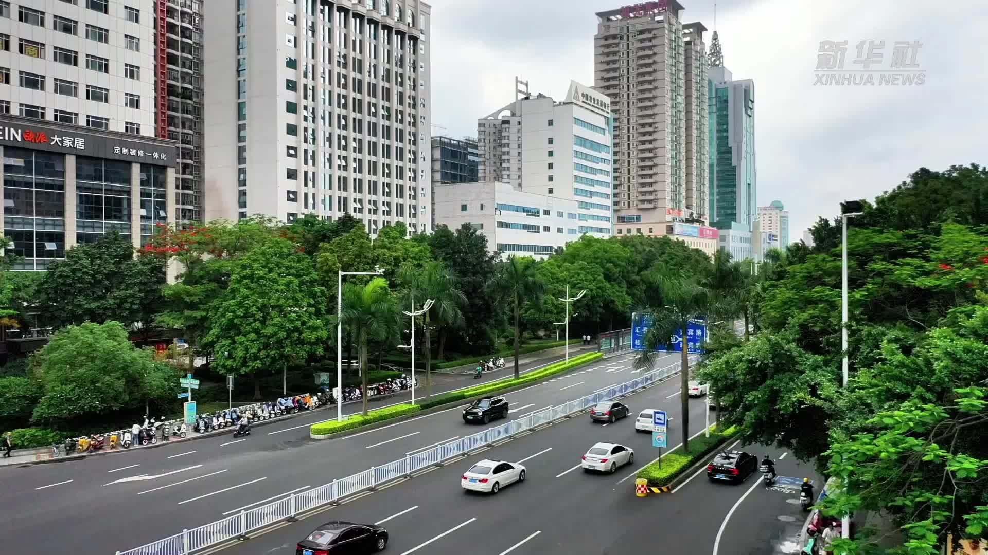 南宁：“智慧人社”赋能民生服务走深走实