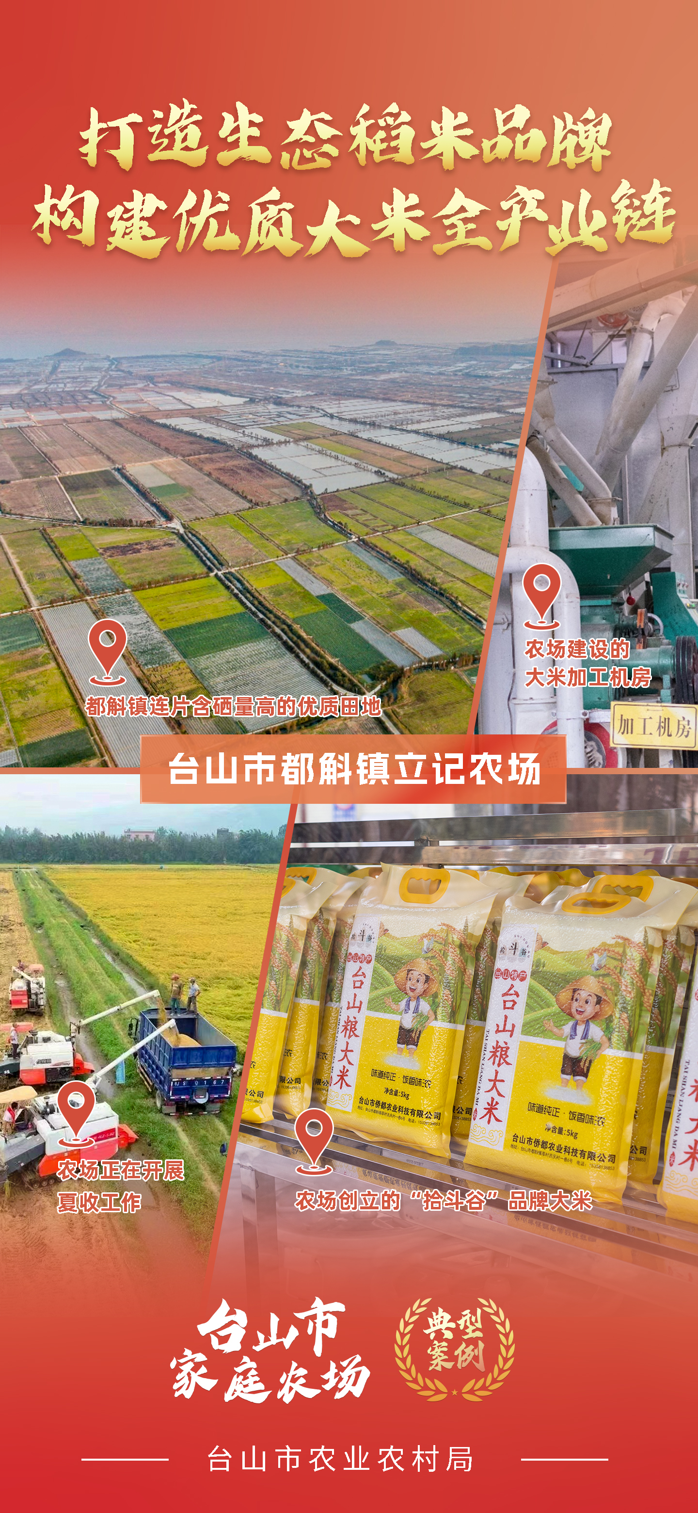一组海报 带你学习台山市新型农业经营主体典型案例