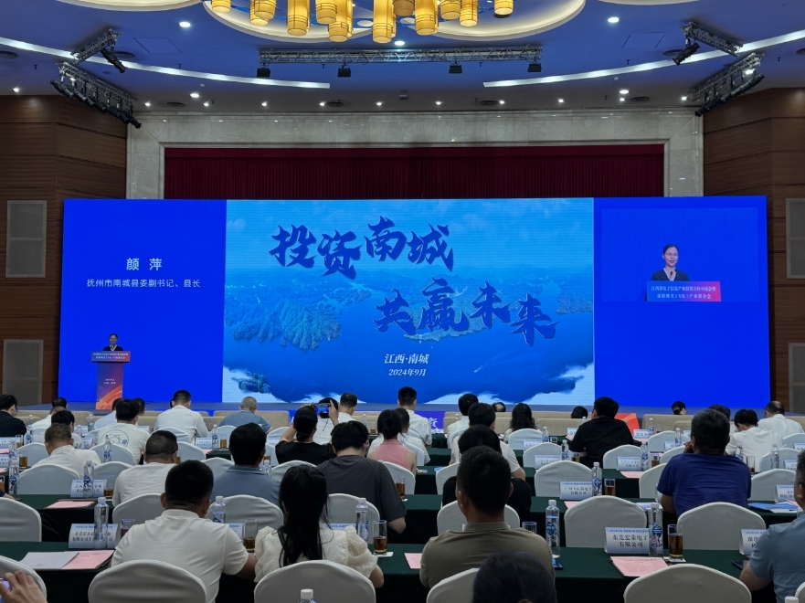 南城县县长颜萍：拥抱湾区 加速推进电子信息产业发展