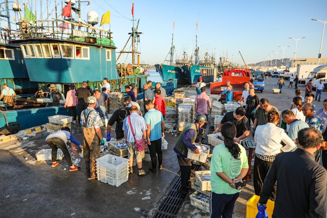 9月3日，渔船到岸不多时，海货就被抢购一空。宋年升 摄