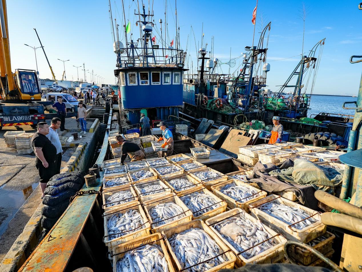 9月3日，渔船满载而归，一筐筐新鲜的海货大海的馈赠。薄林 摄