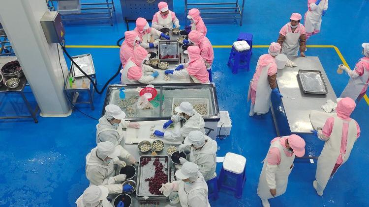 山东临朐县，工人正在制作鹅肥肝深加工产品。都亚男摄