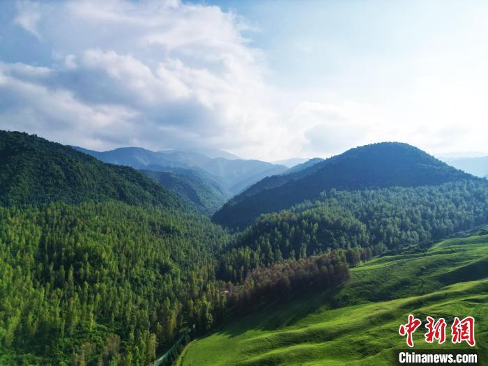 近日，航拍甘肃省临夏回族自治州康乐县鸣鹿乡拔字沟村竹子沟景区。中新社记者　李亚龙　摄