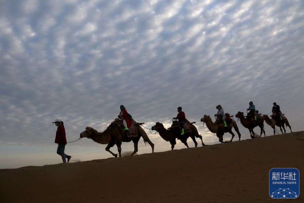 ↑9月1日清晨，游客在甘肃省敦煌市鸣沙山月牙泉景区乘骑骆驼，欣赏大漠风光，体验丝路风情。