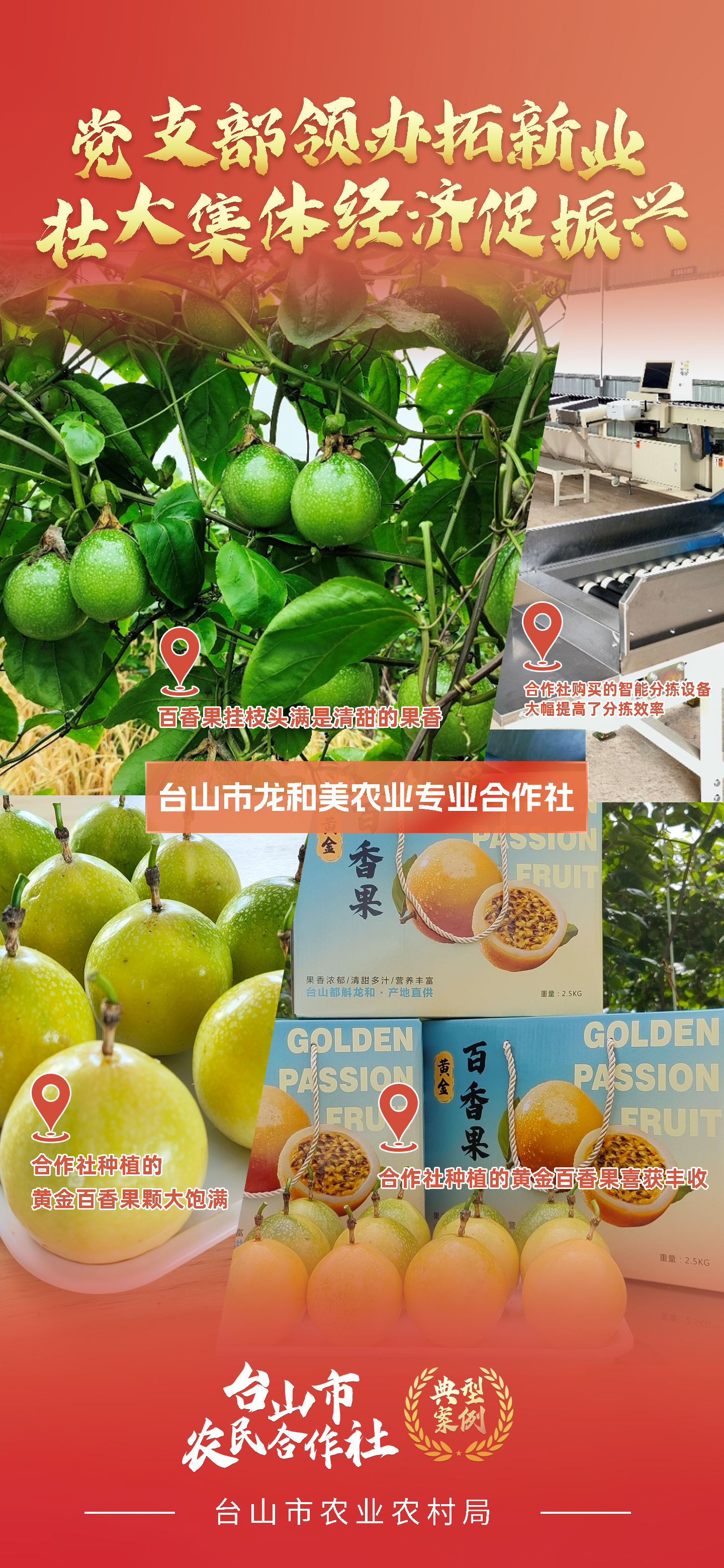 一组海报 带你学习台山市新型农业经营主体典型案例