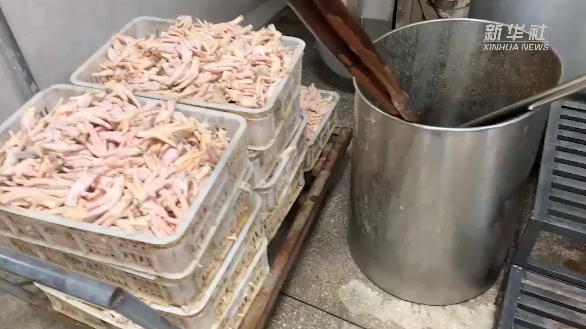 特大系列跨境走私冻品案告破 涉案金额超10亿元