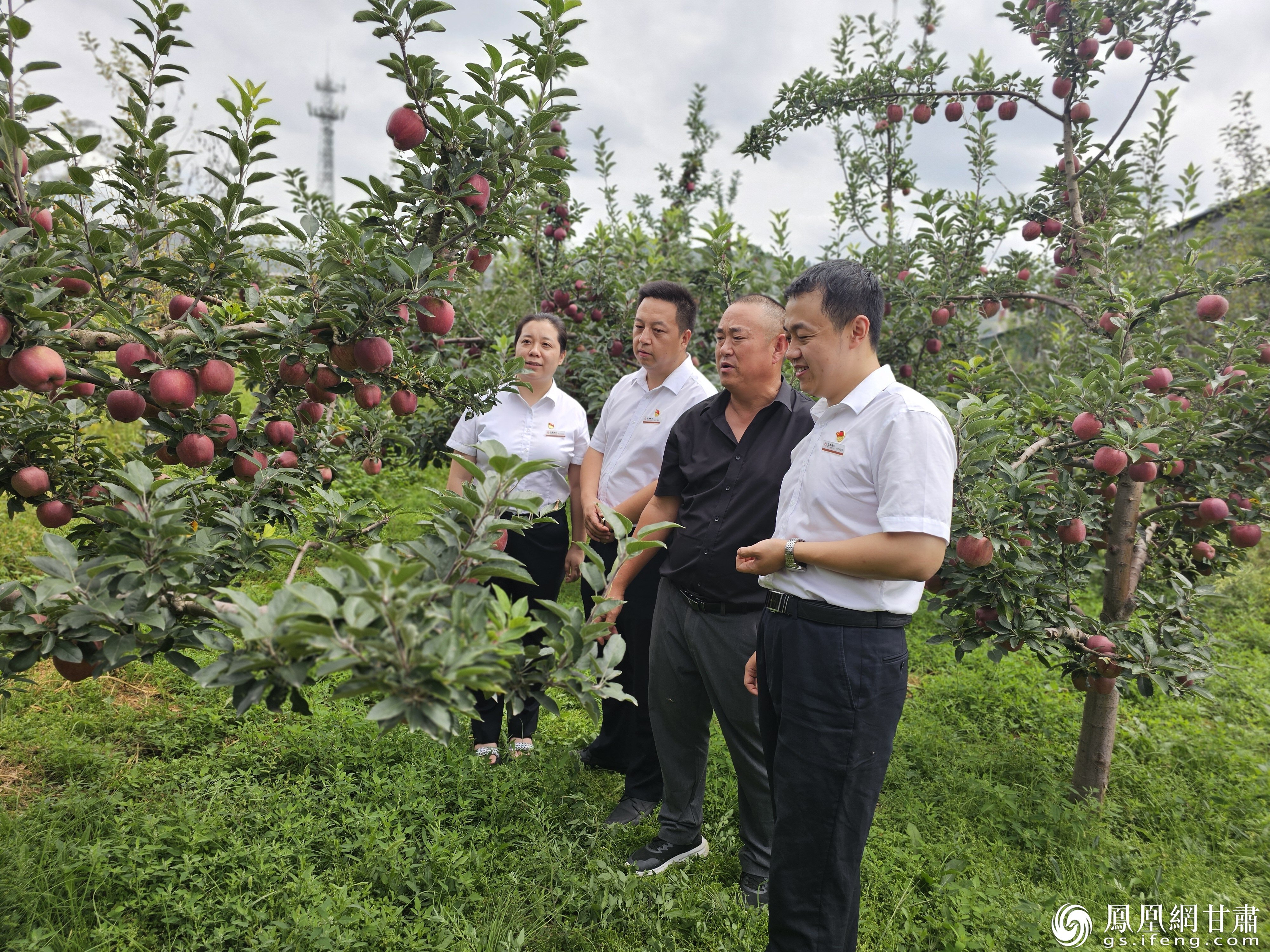 甘肃银行礼县支行客户经理团队到远亮果蔬开展金融服务　甘肃银行陇南分行供图