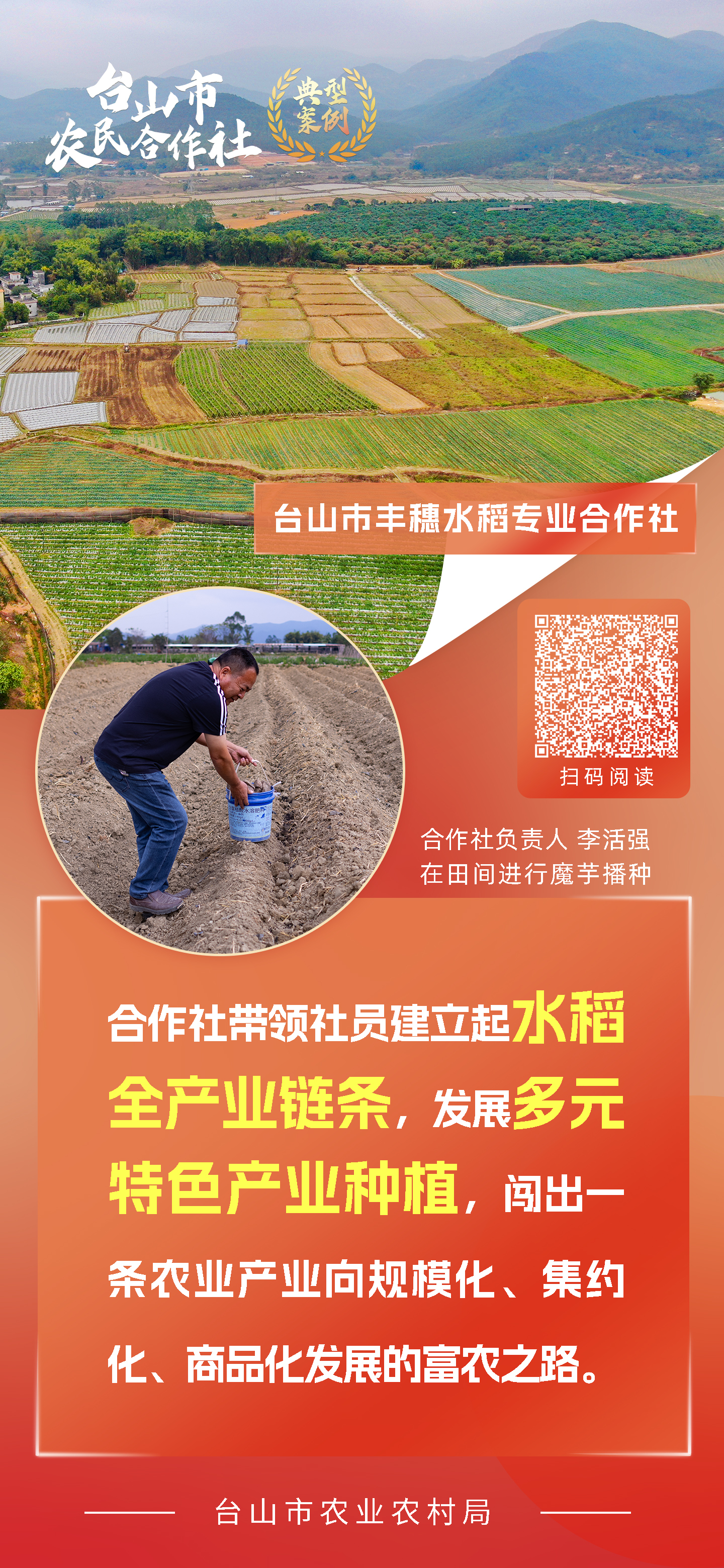 一组海报 带你学习台山市新型农业经营主体典型案例