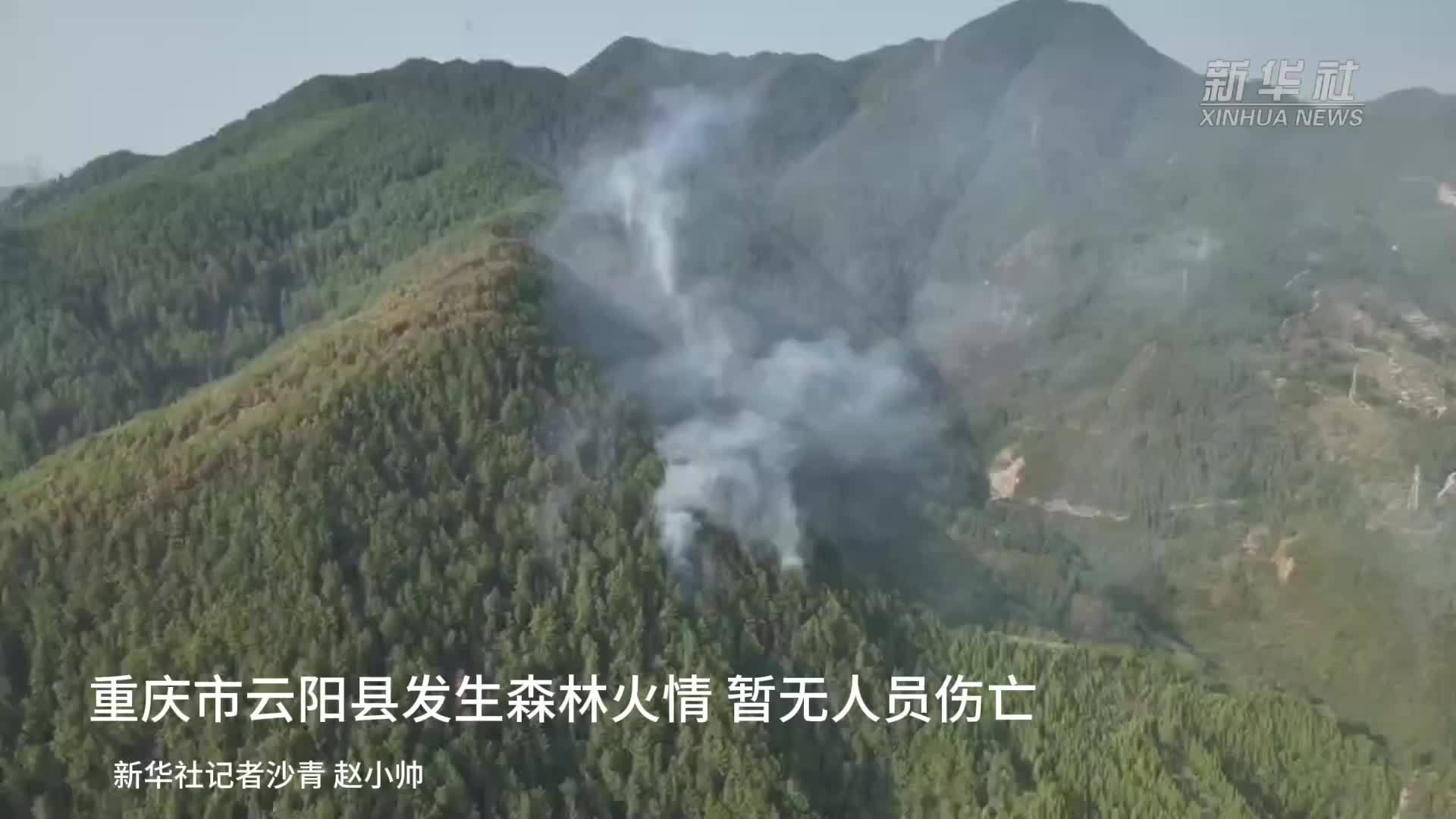 重庆市云阳县发生森林火情 暂无人员伤亡