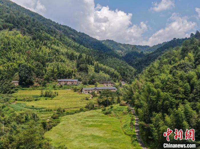 9月2日,航拍位于江西赣州崇义县的齐云山国家级自然保护区,只见漫山翠绿,重峦叠嶂,山谷之中稻田、村落分布,风景秀美。齐云山国家级自然保护区总面积17105公顷,森林覆盖率高达97.6%,保存有南岭山地区原生性南亚热带与中亚热带过渡的常绿阔叶林森林生态系统,是中国生物多样性保护的关键地区。(无人机照片)中新社记者 刘力鑫 摄